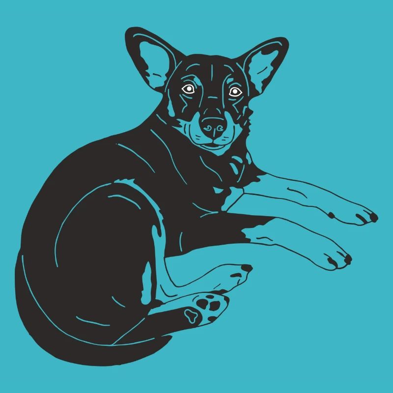 Zwergpinscher