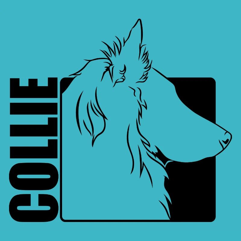 Collie à poil long profil chiens chiens Wilsigns