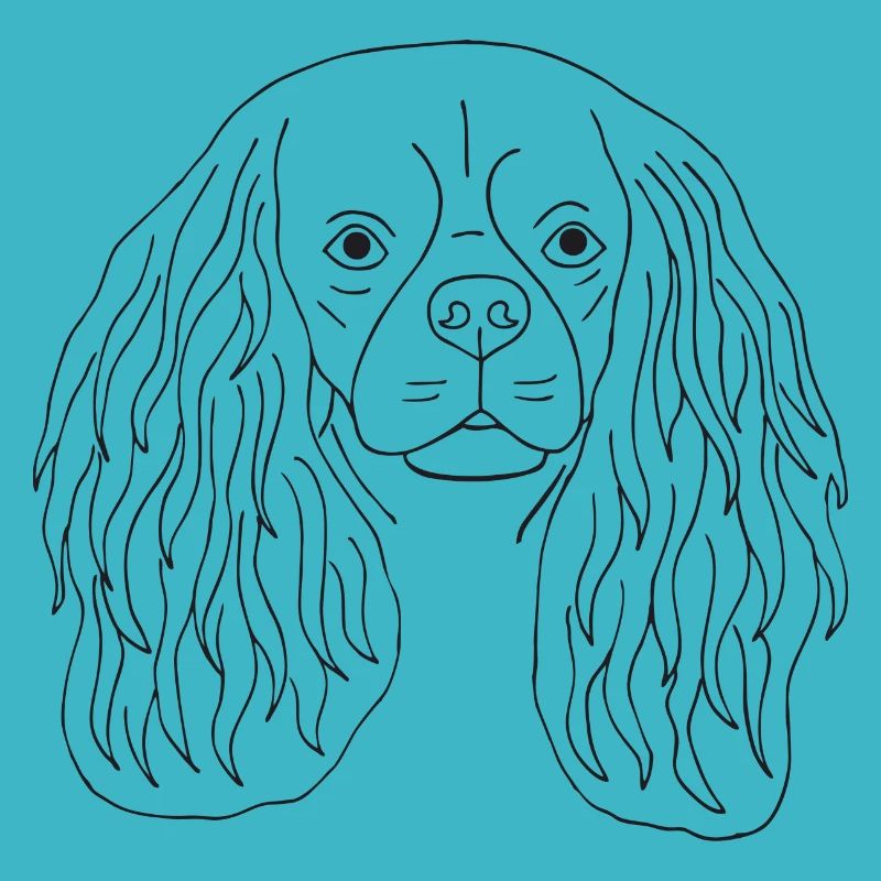 Cavalier King Charles Spaniel