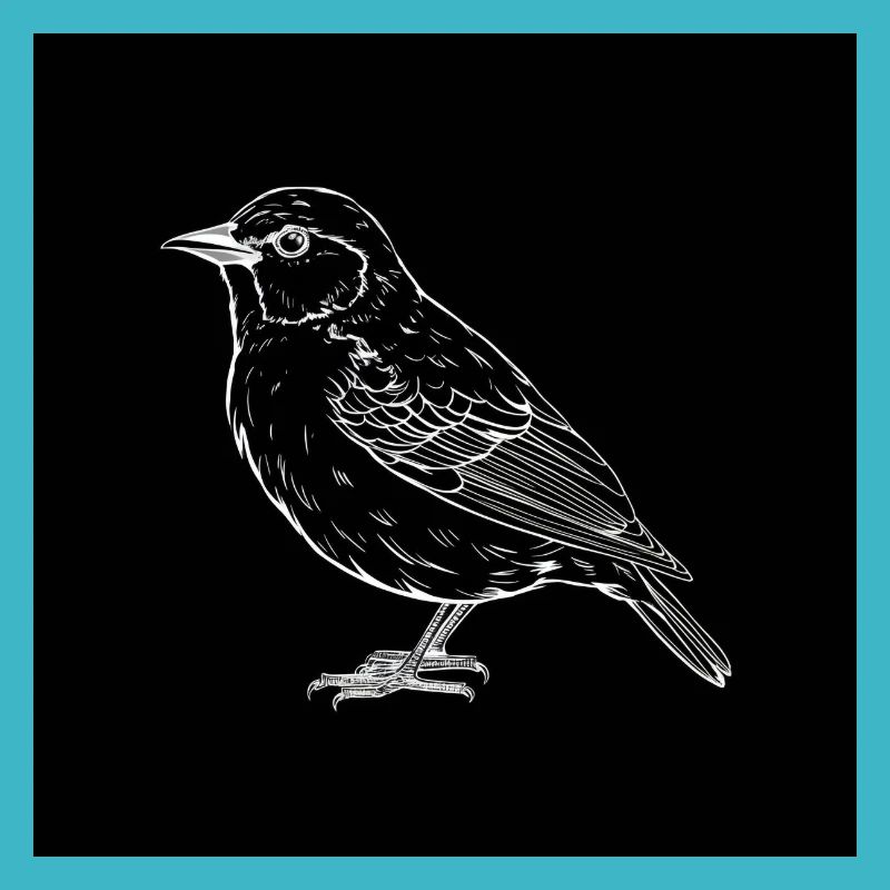 Oiseau, noir et blanc