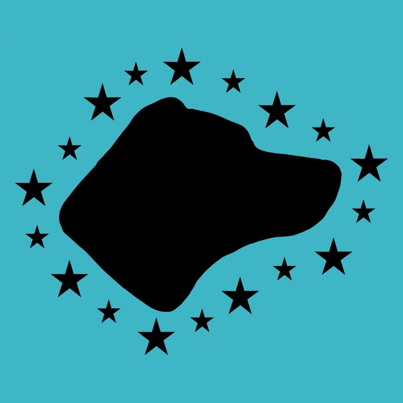 Jack Russell Terrier