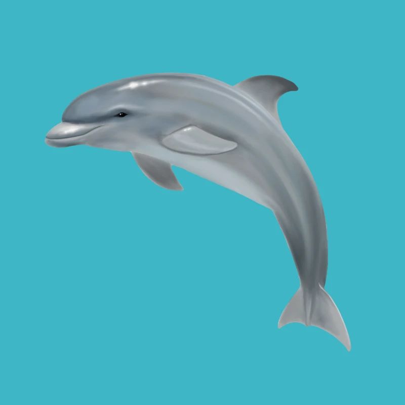 Süßer Delfin