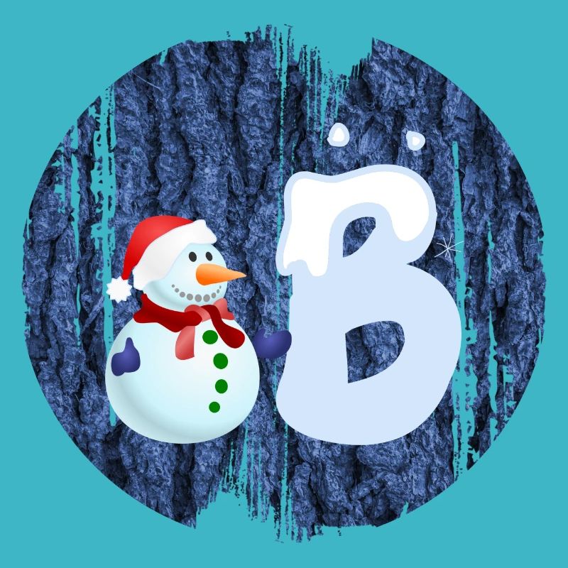 schneemann b