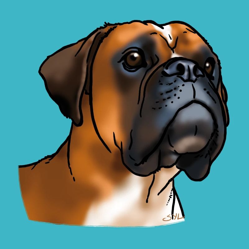 Boxer Hundekopf