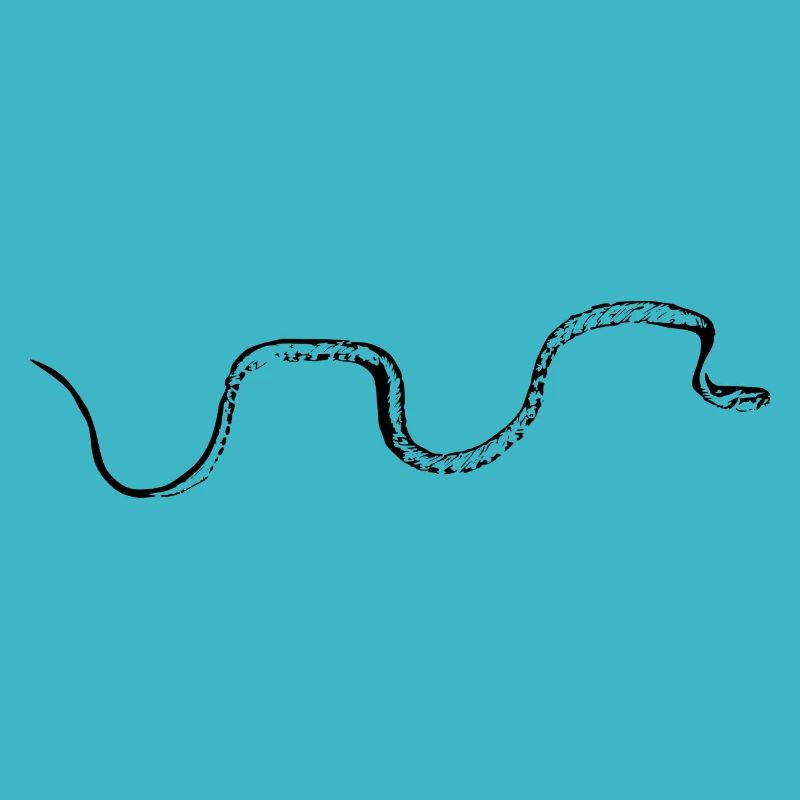 Snake black