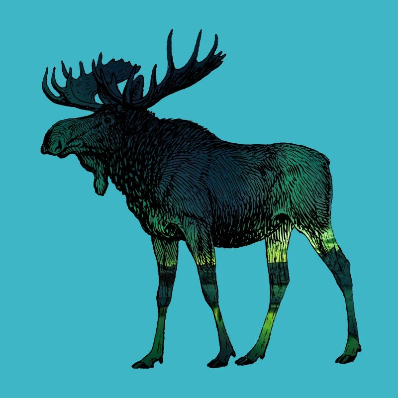 Moose 3