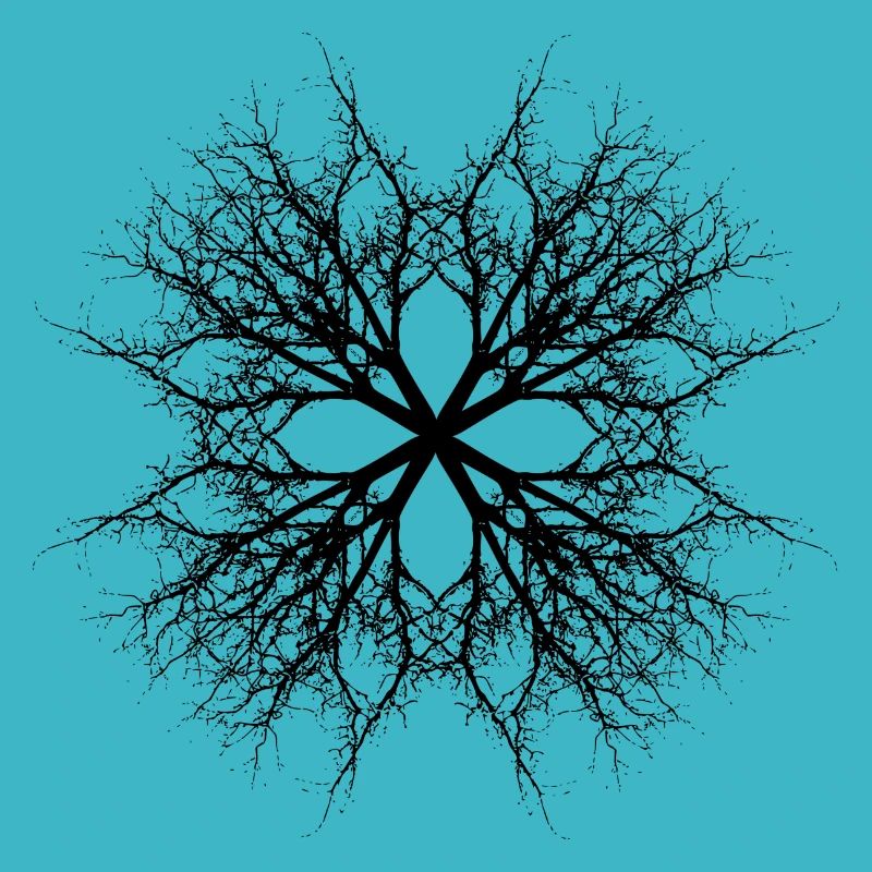 Au plus profond de la forêt