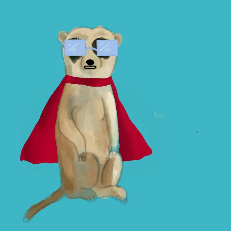 Suricate SuperHero Cool Boy hey fred super-héros
