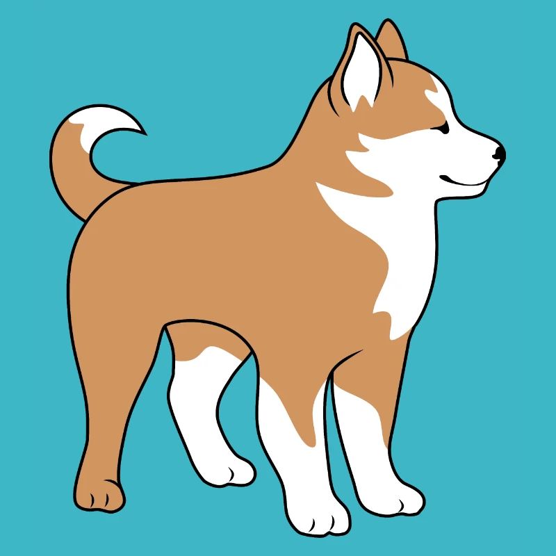 Mignon malamute