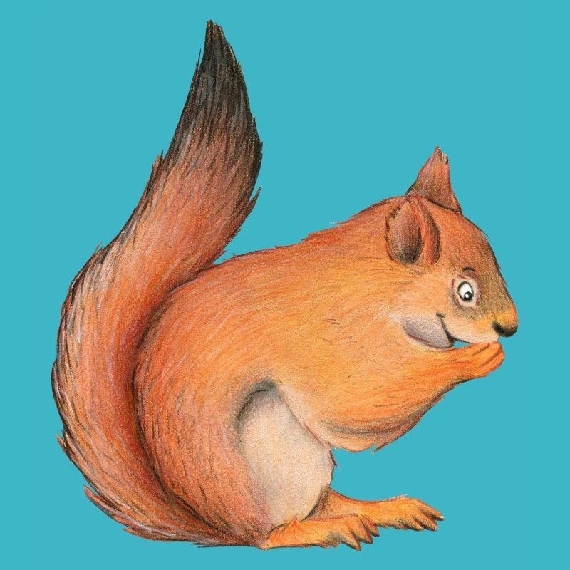squirrel