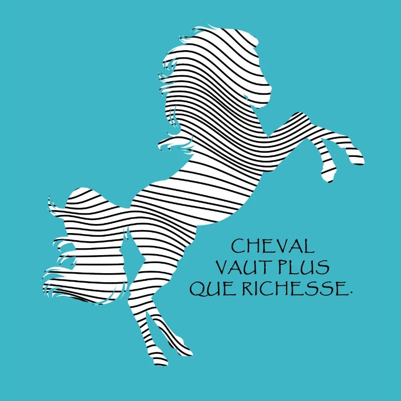 Black and White Horse