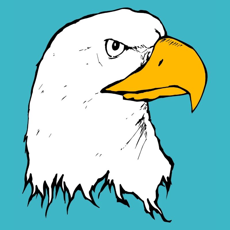 eagle eagle buzzard falcon habicht hawk falcon17