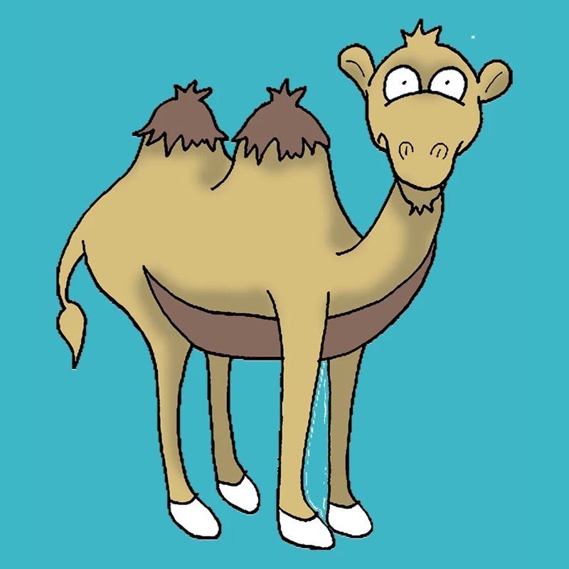 Camel