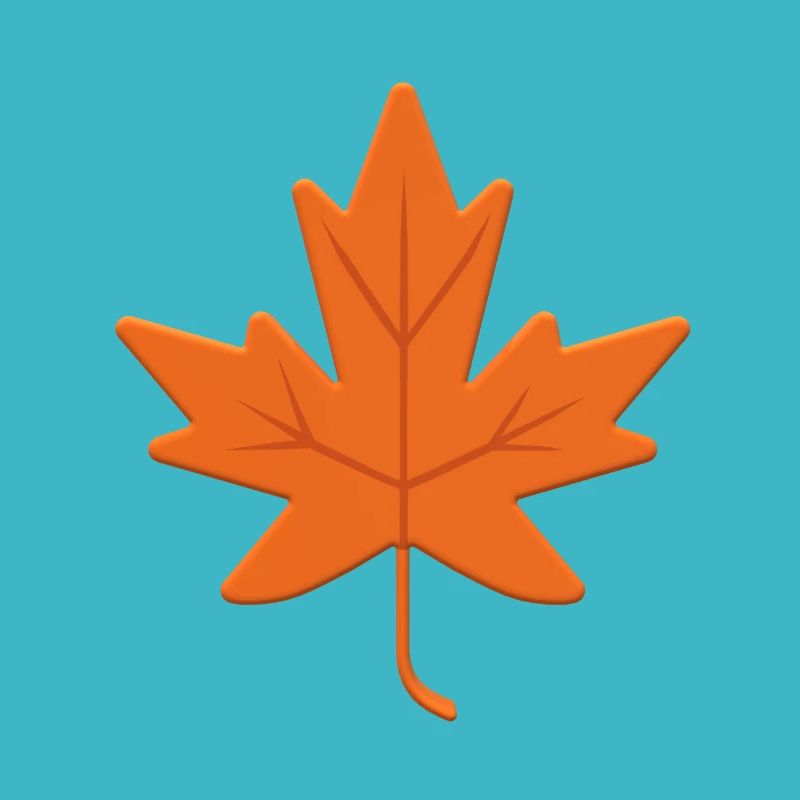 Autumn Leaf Canada Natural Tree Garden Ahronblatt