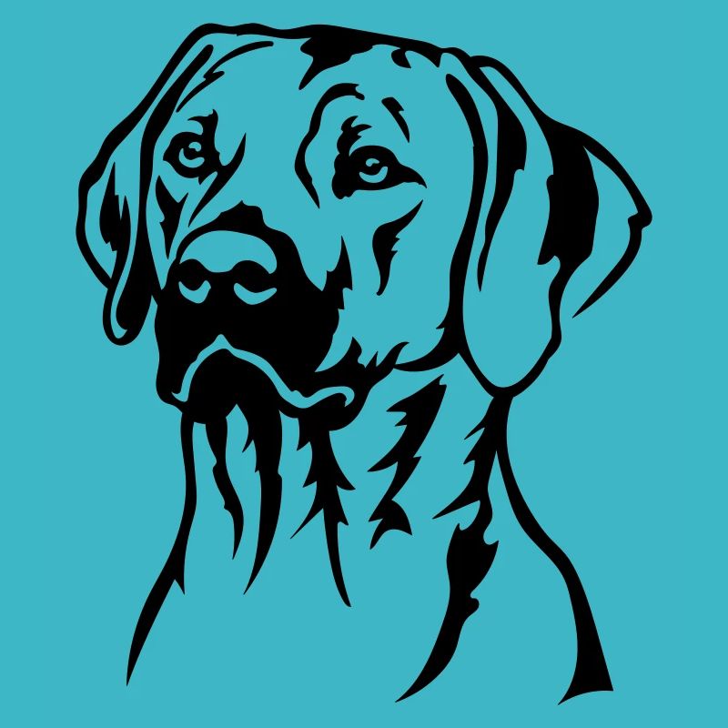 Rhodesian Ridgeback Head