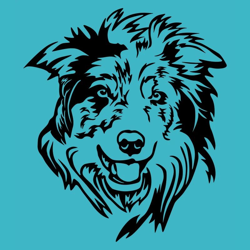 Tête de Border Collie