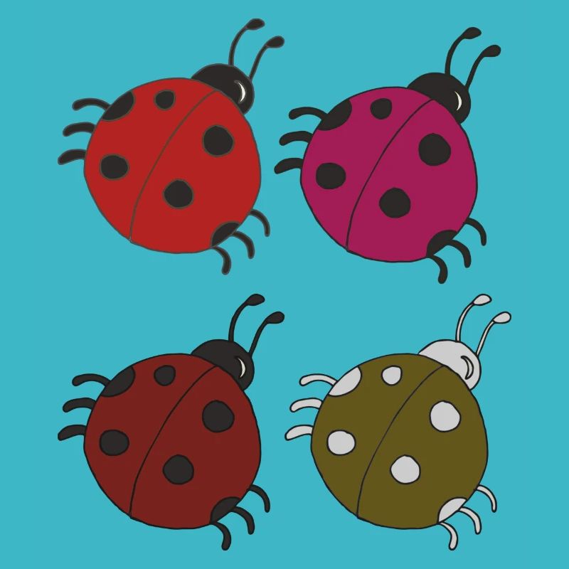 Coccinelle 4 Pack