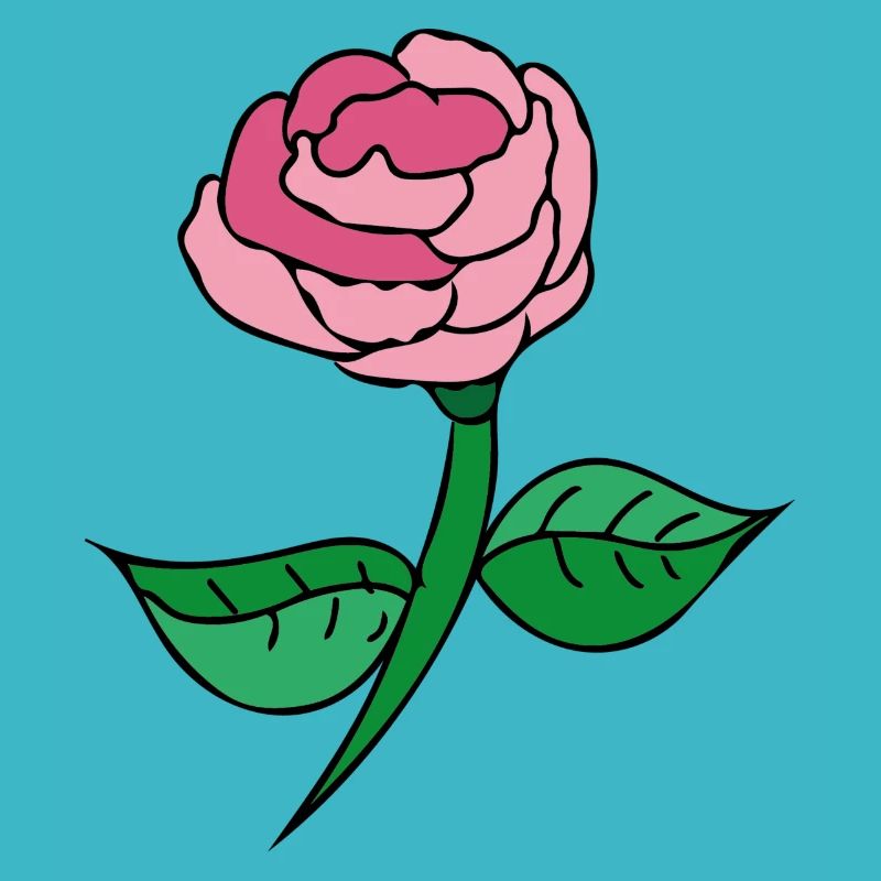 Pink Rose
