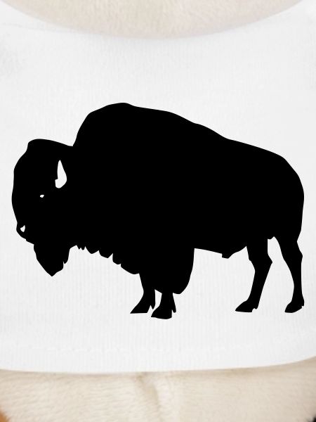 Bison