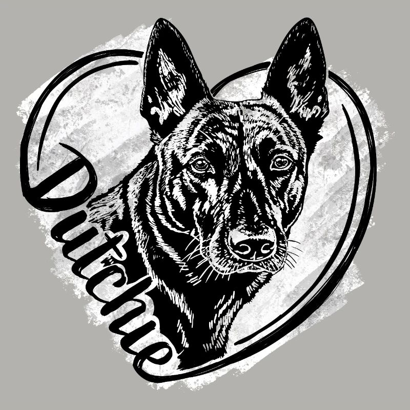 Dutch Shepherd – Dutchie