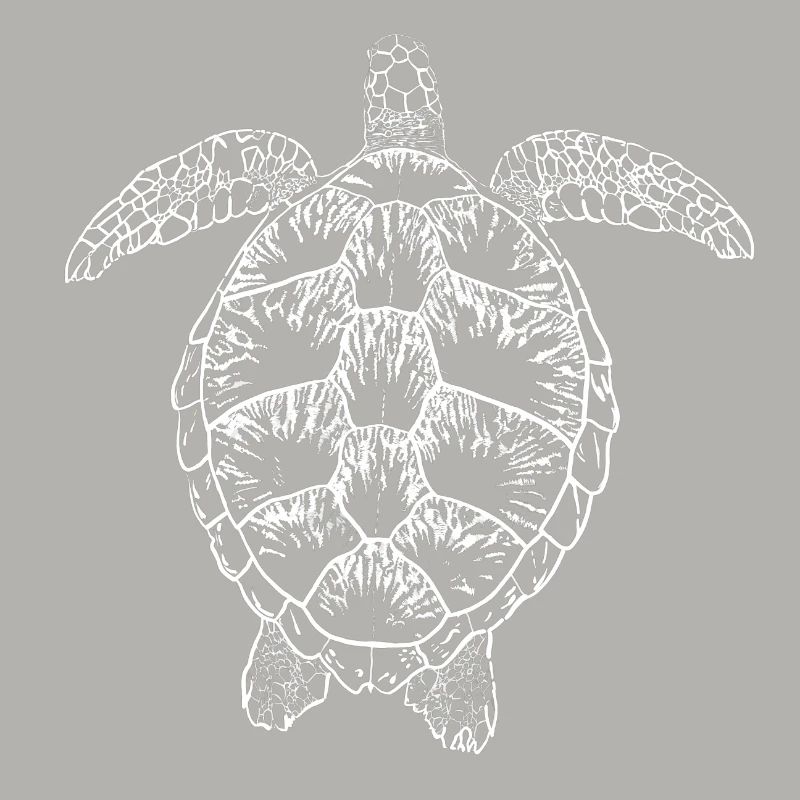 Turtle white2
