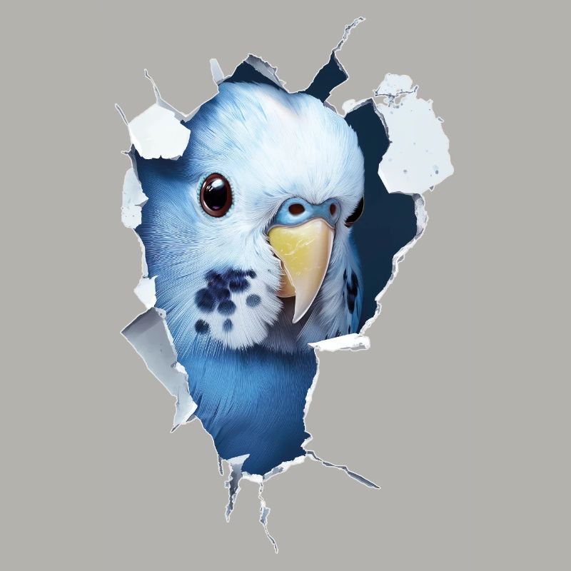 Budgerigar