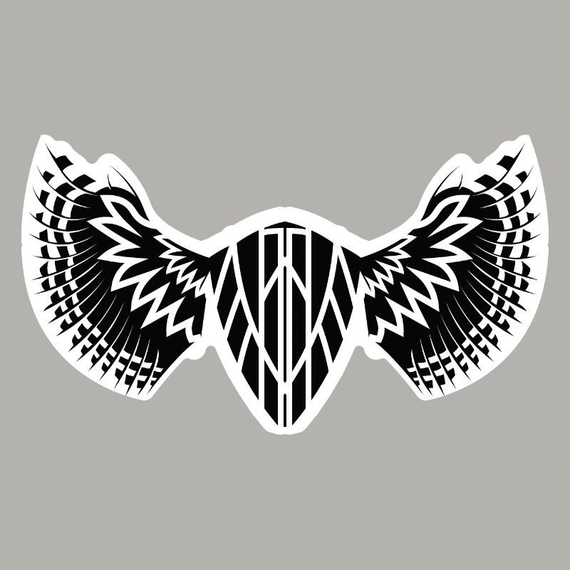The Mystical Winged Ancient Shield