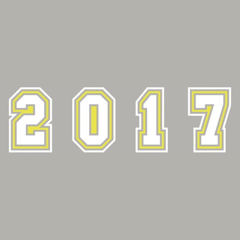 2017 Year Number