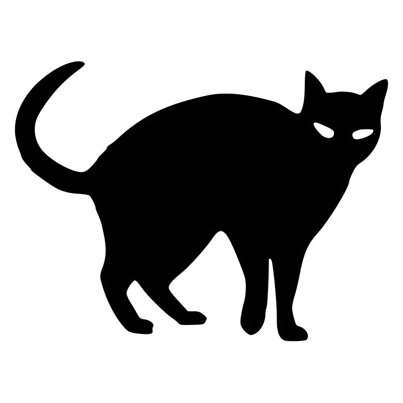 Chat moulant #2