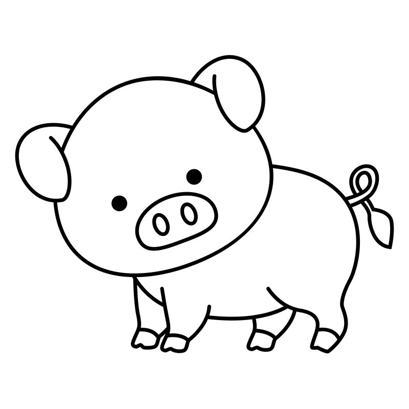 pig