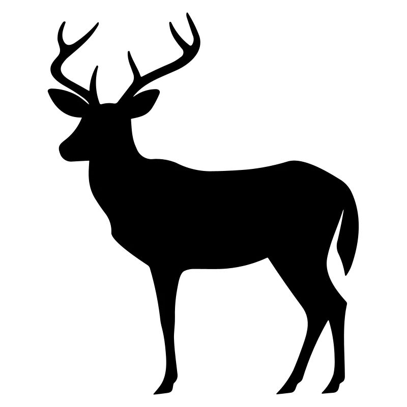 Hirsch