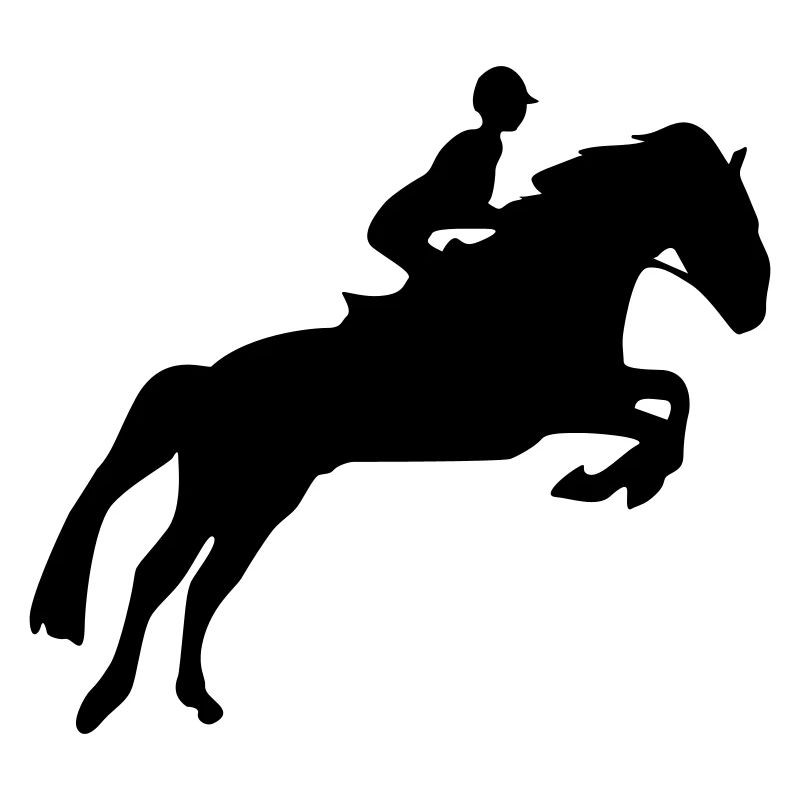 reiten