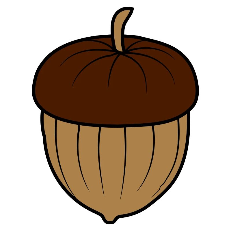 Acorn Nut Design