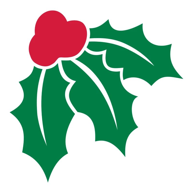 Weihnachtsstechpalme 2