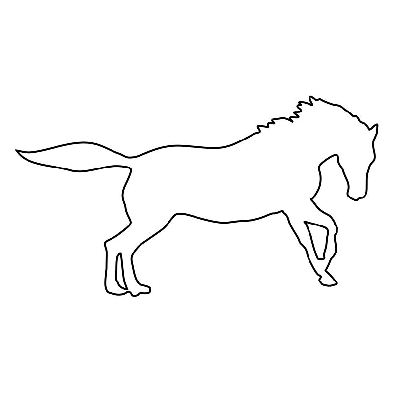 pferd