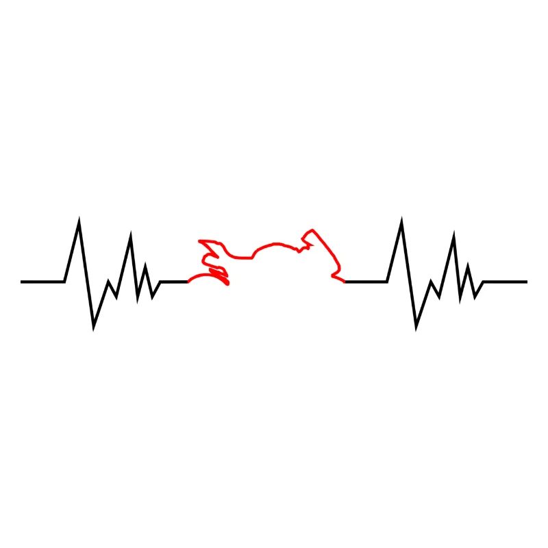 Das Herz eines Bikers