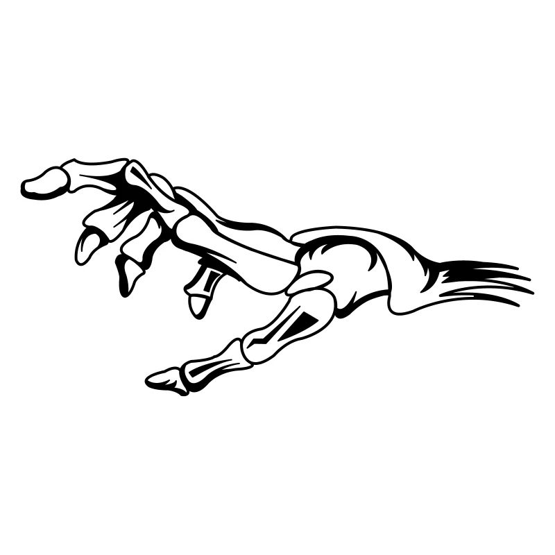 skelett_hand