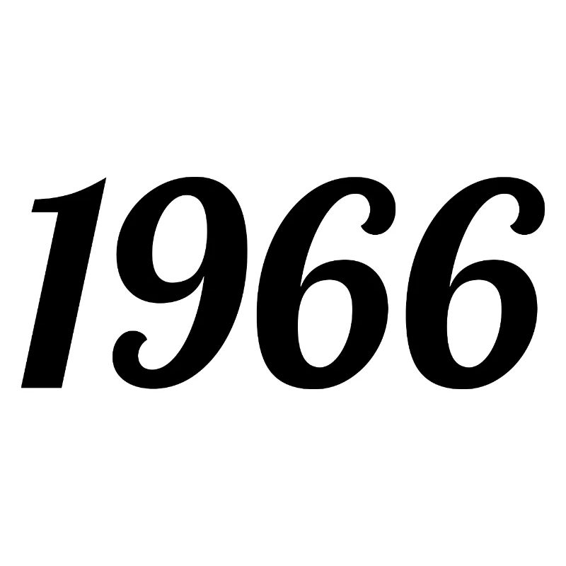 1966 Vintage 1966 Retro Geburtstag 1966 Geschenk
