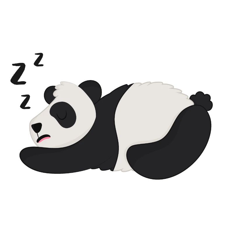 Panda Pandabär