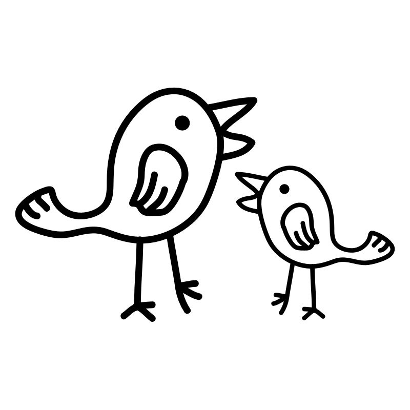 Birds