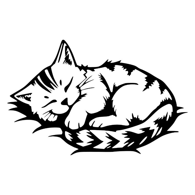 sleeping cat black