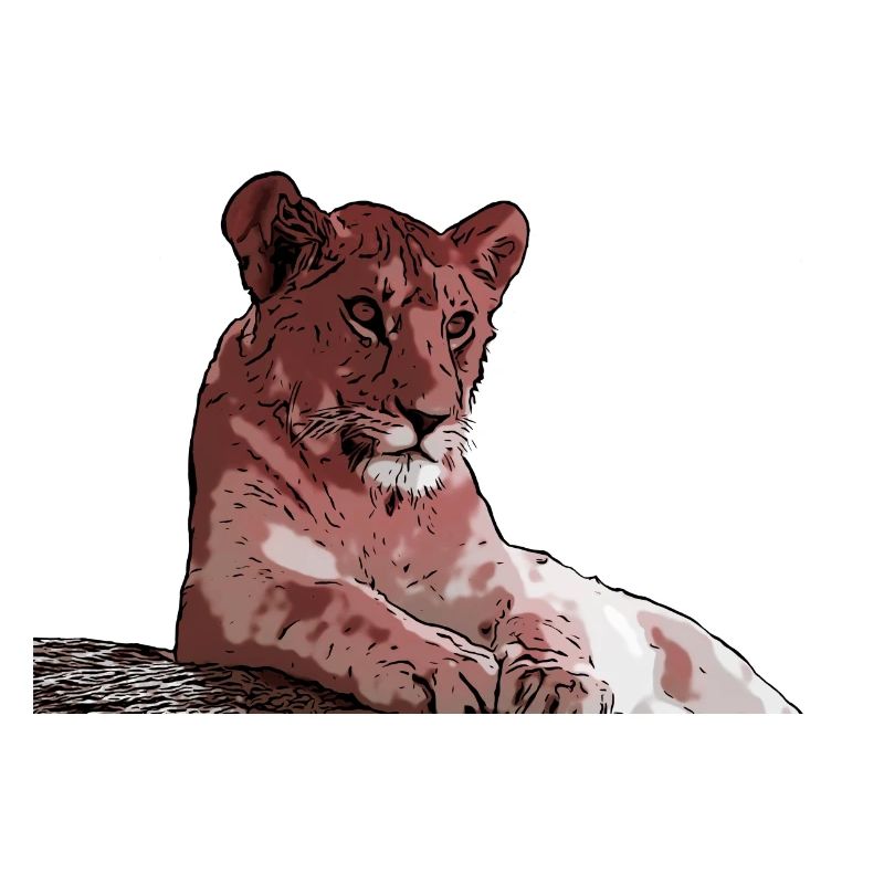 Junger Löwe