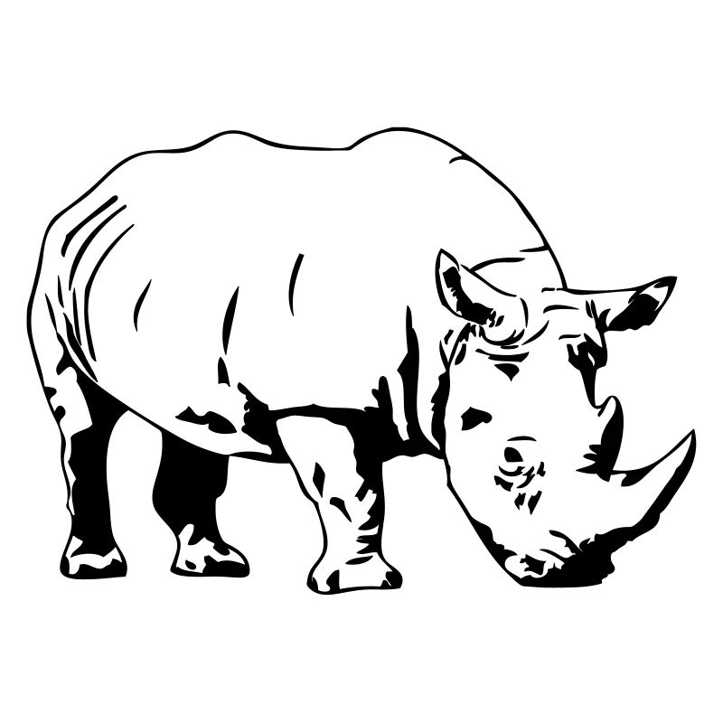 Rhino