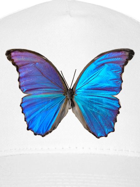 Blauer Schmetterling