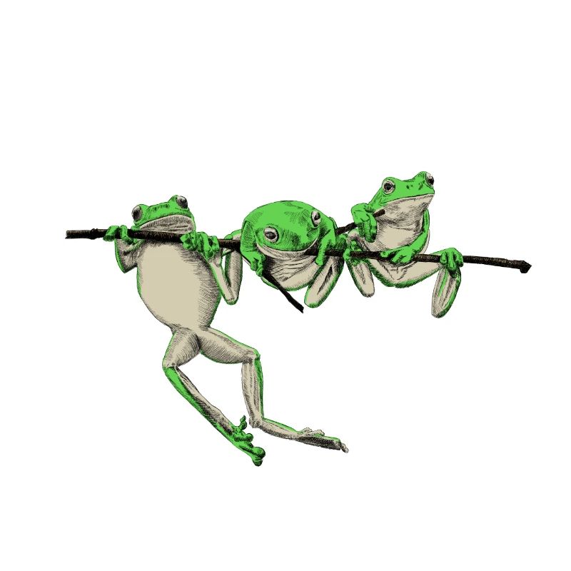 Frosch