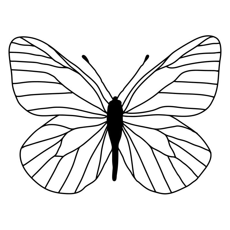 Papillon blanc