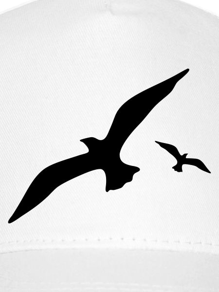 Möwe