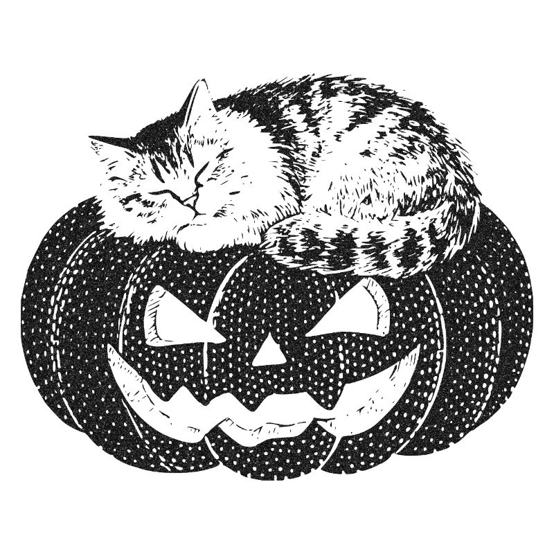 Cat sleeping on pumpkin