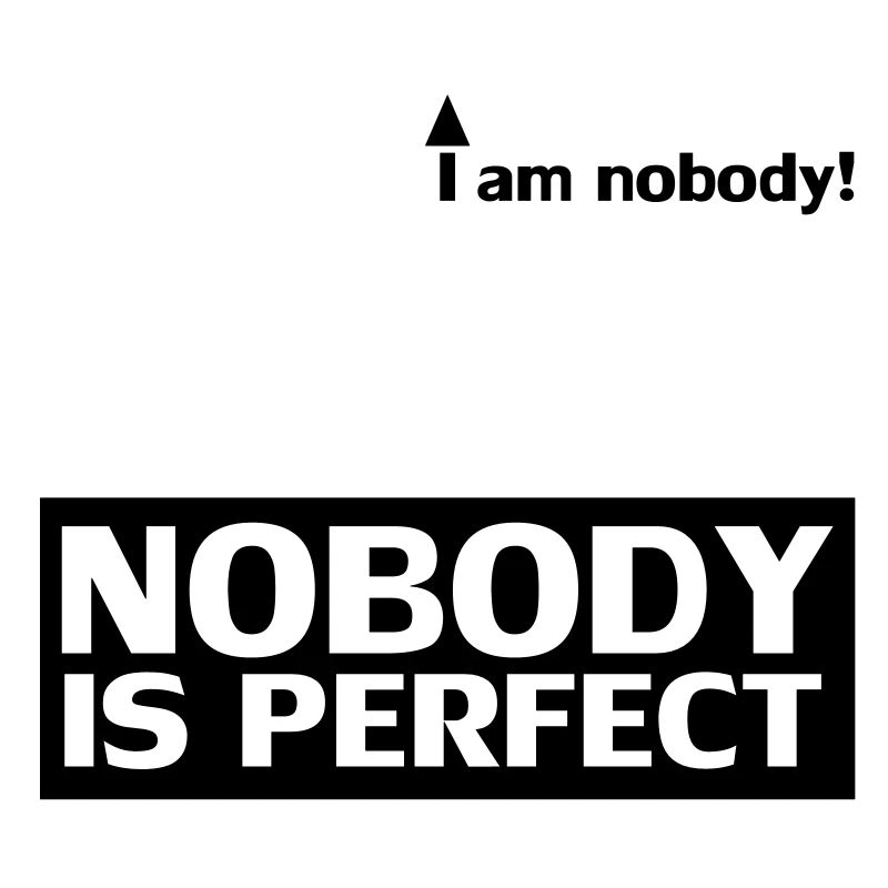 nobody_is_perfect