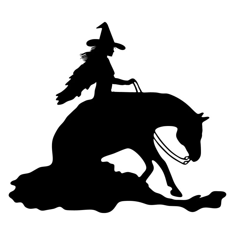 Hexe auf Westernpferd, Sliding Stop